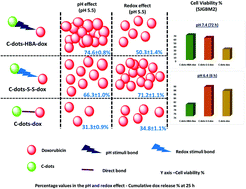 Graphical abstract: pH and redox triggered doxorubicin release from covalently linked carbon dots conjugates