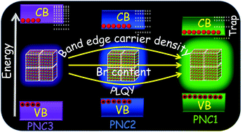 Graphical abstract: Unravelling halide-dependent charge carrier dynamics in CsPb(Br/Cl)3 perovskite nanocrystals