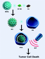 Graphical abstract: Glutathione-depleting nanoplatelets for enhanced sonodynamic cancer therapy