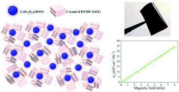 Graphical abstract: Magnetoelectric effect in flexible nanocomposite films based on size-matching