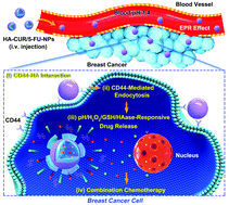 Graphical abstract: Quadruple-responsive nanoparticle-mediated targeted combination chemotherapy for metastatic breast cancer