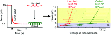 Graphical abstract: Mechanochemical properties of DNA origami nanosprings revealed by force jumps in optical tweezers