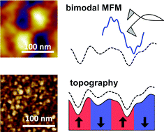 Graphical abstract: Quantitative mapping of magnetic properties at the nanoscale with bimodal AFM