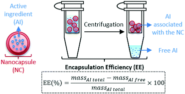 Graphical abstract: Is centrifugal ultrafiltration a robust method for determining encapsulation efficiency of pesticide nanoformulations?
