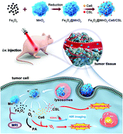 Graphical abstract: Manganese/iron-based nanoprobes for photodynamic/chemotherapy combination therapy of tumor guided by multimodal imaging