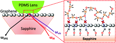 Graphical abstract: Screening of hydrogen bonding interactions by a single layer graphene