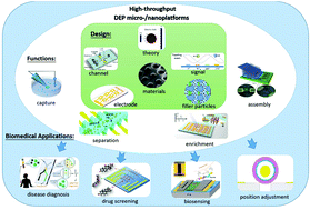 Graphical abstract: On the design, functions, and biomedical applications of high-throughput dielectrophoretic micro-/nanoplatforms: a review