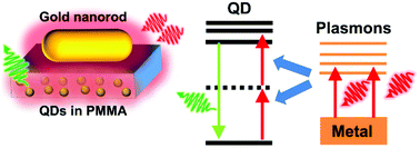 Graphical abstract: Strong increase in the effective two-photon absorption cross-section of excitons in quantum dots due to the nonlinear interaction with localized plasmons in gold nanorods