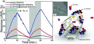 Graphical abstract: Preparation of defected SWCNTs decorated with en-APTAS for application in high-performance nitric oxide gas detection