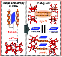 Graphical abstract: Host–guest chemistry of giant molecular shape amphiphiles based on POSS–PDI conjugates