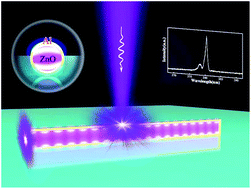 Graphical abstract: Plasmon–exciton coupling dynamics and plasmonic lasing in a core–shell nanocavity
