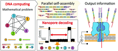 Graphical abstract: Nanopore decoding for a Hamiltonian path problem