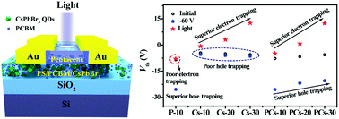 Graphical abstract: Dual-functional optoelectronic memories based on ternary hybrid floating gate layers