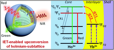 Graphical abstract: Tunable upconversion of holmium sublattice through interfacial energy transfer for anti-counterfeiting