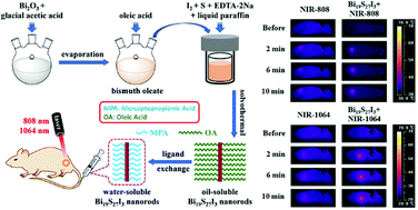 Graphical abstract: Bi19S27I3 nanorods: a new candidate for photothermal therapy in the first and second biological near-infrared windows