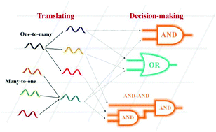 Graphical abstract: Information processing using an integrated DNA reaction network