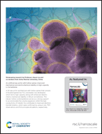 Graphical abstract: Inside back cover