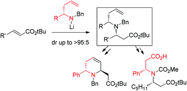 Graphical abstract: Homoallylic amines as efficient chiral inducing frameworks in the conjugate addition of amides to α,β-unsaturated esters. An entry to enantio-enriched diversely substituted amines