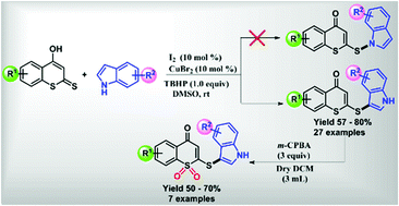 Graphical abstract: Newly synthesized 3-sulfenylindole derivatives from 4-hydroxydithiocoumarin using an oxidative cross dehydrogenative coupling reaction (OCDCR): potential lead molecules for antiproliferative activity