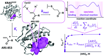 Graphical abstract: Proof of concept for poor inhibitor binding and efficient formation of covalent adducts of KRASG12C and ARS compounds