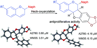 Graphical abstract: Synthesis and antiproliferative activity of 6-naphthylpterocarpans