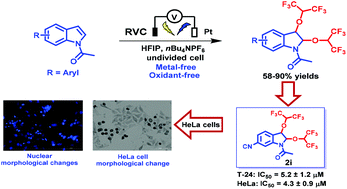 Graphical abstract: Electrochemically enabled functionalization of indoles or anilines for the synthesis of hexafluoroisopropoxy indole and aniline derivatives