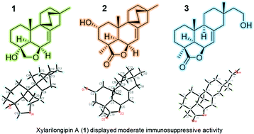 Graphical abstract: Diterpenes with bicyclo[2.2.2]octane moieties from the fungicolous fungus Xylaria longipes HFG1018