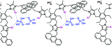 Graphical abstract: Selective fluorescence sensing of H2PO4− by the anion induced formation of self-assembled supramolecular polymers