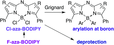 Graphical abstract: Synthesis, properties and reactivity of BCl2 aza-BODIPY complexes and salts of the aza-dipyrrinato scaffold