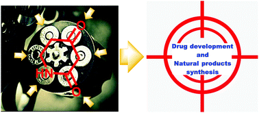 Graphical abstract: Construction of piperidine-2,4-dione-type azaheterocycles and their application in modern drug development and natural product synthesis