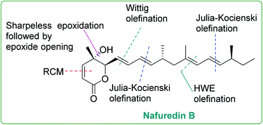 Graphical abstract: Total synthesis of nafuredin B