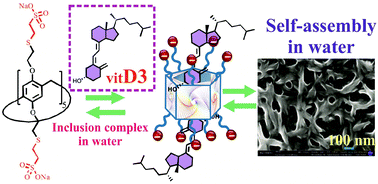 Graphical abstract: Towards new nanoporous biomaterials: self-assembly of sulfopillar[5]arenes with vitamin D3 into supramolecular polymers