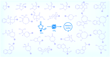 Graphical abstract: Palladium-catalysed decarboxylative annulations of vinylethylene carbonates leading to diverse functionalised heterocycles