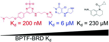 Graphical abstract: New inhibitors for the BPTF bromodomain enabled by structural biology and biophysical assay development