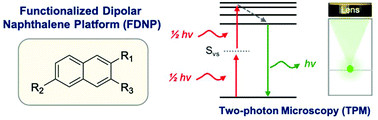 Graphical abstract: Recent advances in two-photon absorbing probes based on a functionalized dipolar naphthalene platform