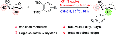 Graphical abstract: Synthesis of aryl ethers of carbohydrates via reaction with arynes: selective O-arylation of trans-vicinal dihydroxyl groups in carbohydrates
