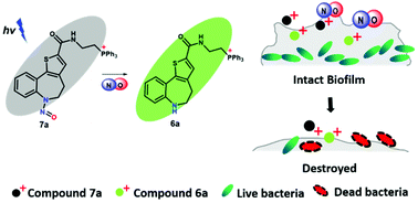 Graphical abstract: Photoactive NO hybrids with pseudo-zero-order release kinetics for antimicrobial applications