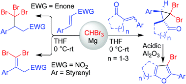 Graphical abstract: Substrate-oriented selectivity in the Mg-mediated conjugate addition of bromoform to electron-deficient alkenes