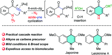 Graphical abstract: Gold(iii)-catalyzed azide-yne cyclization/O–H insertion cascade reaction for the expeditious construction of 3-alkoxy-4-quinolinone frameworks