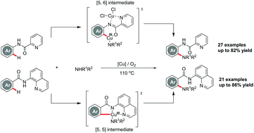 Graphical abstract: Copper-catalyzed ortho-C(sp2)–H amination of benzamides and picolinamides with alkylamines using oxygen as a green oxidant