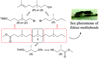 Graphical abstract: Total synthesis of four stereoisomers of methyl 4,8,12-trimethylpentadecanoate, a major component of the sex pheromone of the stink bug Edessa meditabunda