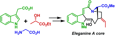 Graphical abstract: Stereoselective synthesis of an eleganine A core