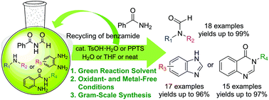 Graphical abstract: Facile access to N-formyl imide as an N-formylating agent for the direct synthesis of N-formamides, benzimidazoles and quinazolinones