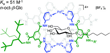 Graphical abstract: A [Pd2L4]4+ cage complex for n-octyl-β-d-glycoside recognition