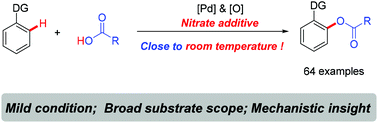 Graphical abstract: Nitrate promoted mild and versatile Pd-catalysed C(sp2)–H oxidation with carboxylic acids