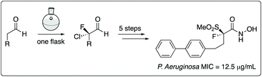 Graphical abstract: Design, organocatalytic synthesis, and bioactivity evaluation of enantiopure fluorinated LpxC inhibitors