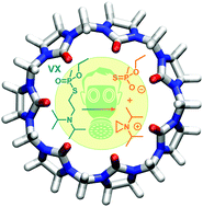 Graphical abstract: Influence of cyclic and acyclic cucurbiturils on the degradation pathways of the chemical warfare agent VX