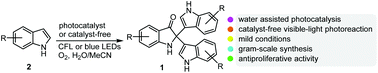 Graphical abstract: Oxidative trimerization of indoles via water-assisted visible-light photoredox catalysis and the study of their anti-cancer activities
