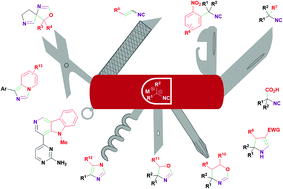 Graphical abstract: Metalated isocyanides: formation, structure, and reactivity