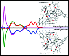 Graphical abstract: Guest-induced supramolecular chirality transfer in [2]pseudorotaxanes: experimental and computational study